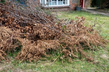 Garden Clearance & Maintenance