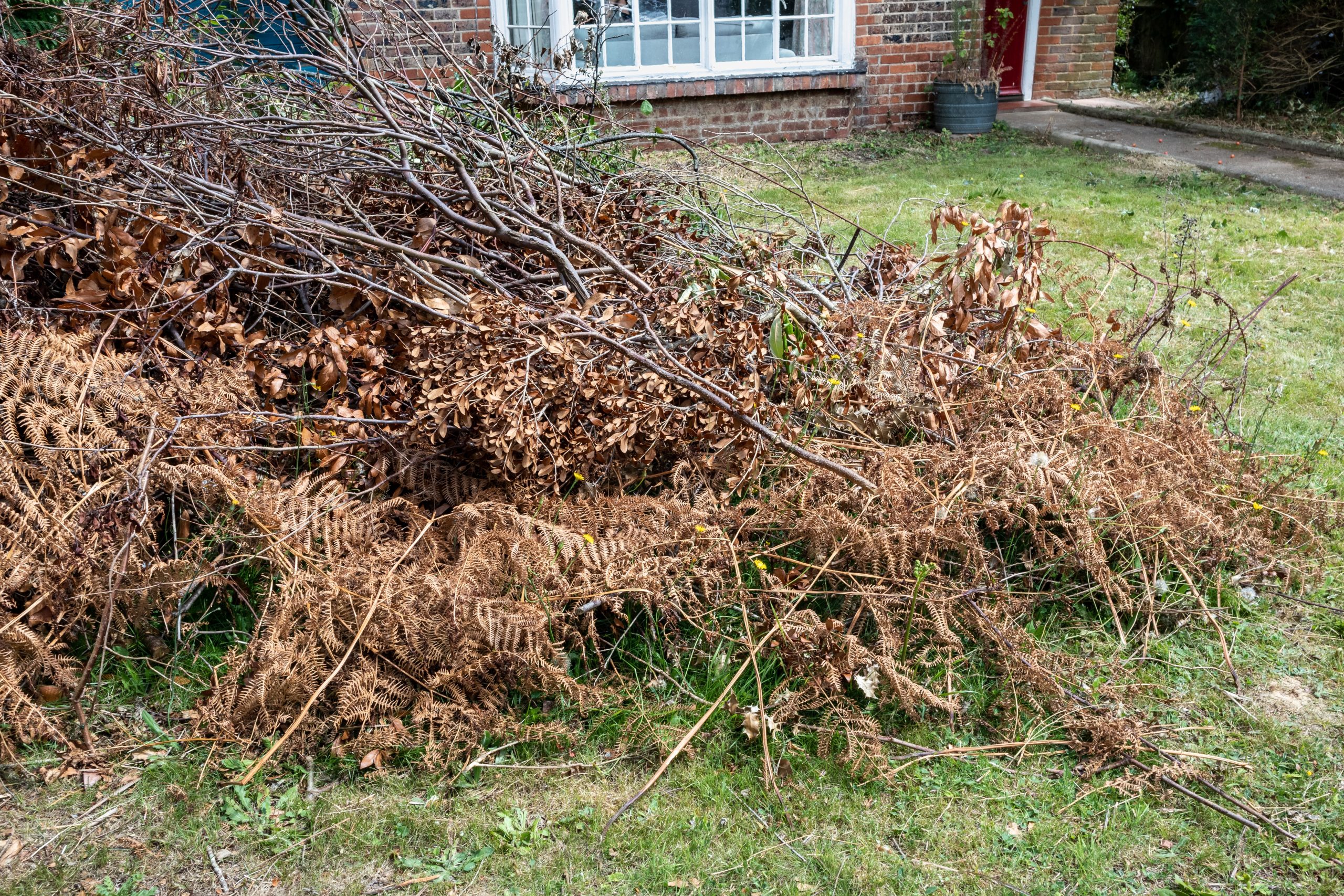 Garden Green Waste Removal Orpington BR6